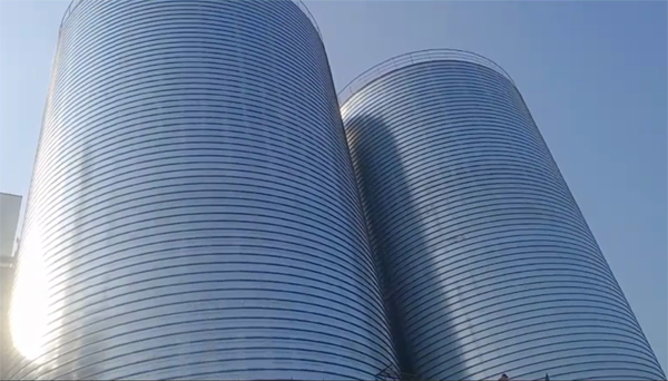 椒江2座混凝土高架卷板仓